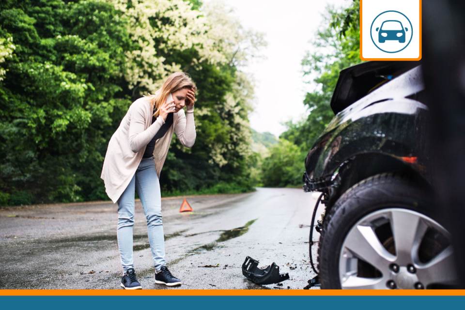 Couverture de l'assurance auto en cas d'animaux renversés